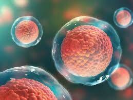 Células para curar la diabetes