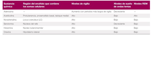 Neurotransmisores en la Fase de Sueño