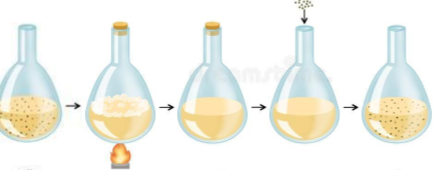 Criticism from Spallanzani