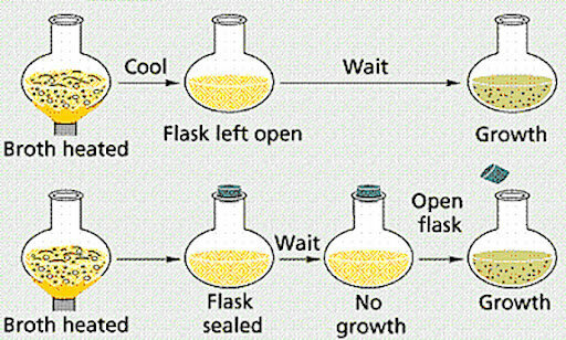Criticism from Spallanzani