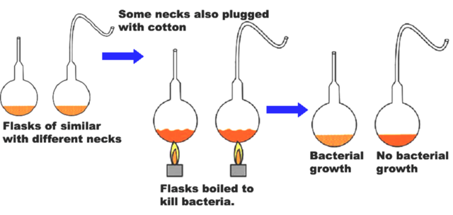 Louis Pasteur's Experiment