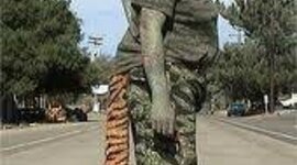 Timeline: Μελινα