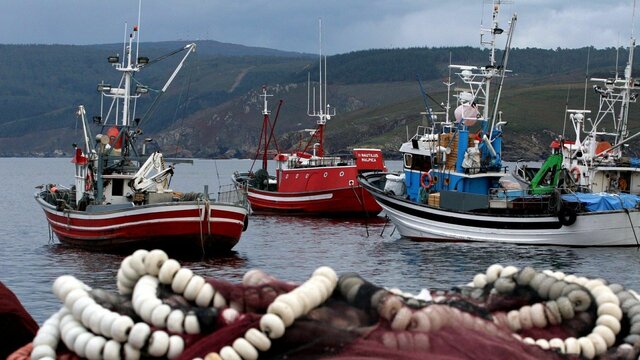 La Política Pesquera Común (PCC) tiene su origen en el propio Tratado de Roma de 1957, por el que se constituyó la entonces Comunidad Económica Europea.