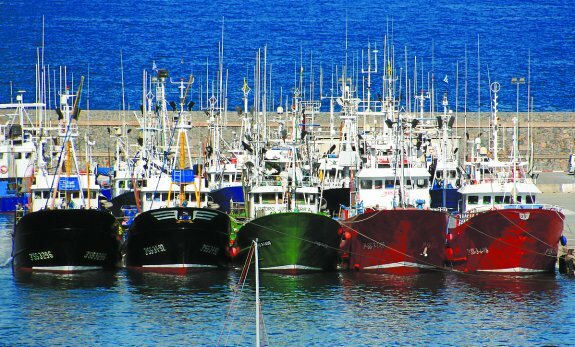 el gigante asiático a registrado una captura de aproximadamente 13 millones de toneladas métricas de peces, crustáceos y moluscos en 2020.