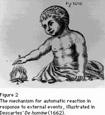 I think therefore I am _