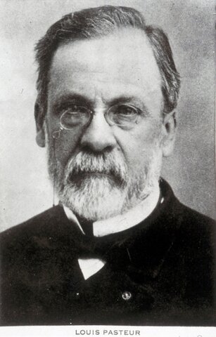 Louis Pasteur (2)