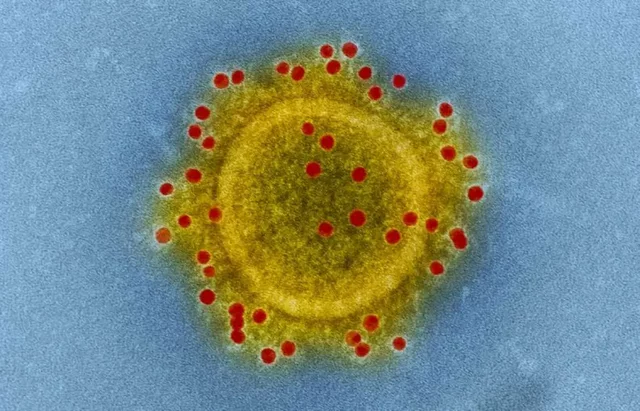 KORONAVIRUS