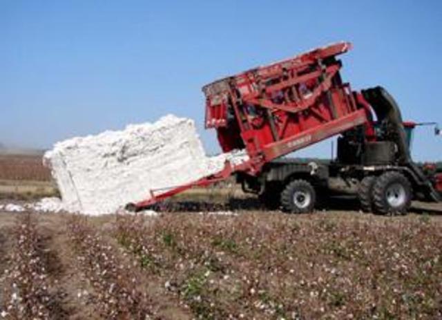 cotton gin