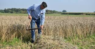 Acuerdo para el Empleo y la Protección Social Agrarios