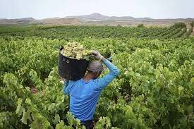 Regulación de la afectación al programa de fomento de empleo agrario