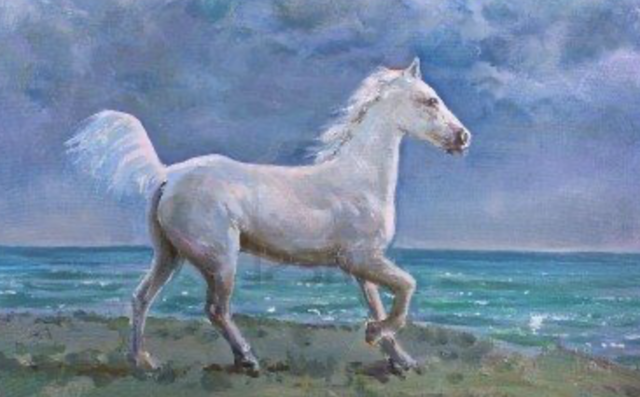 “Mi caballo mago”