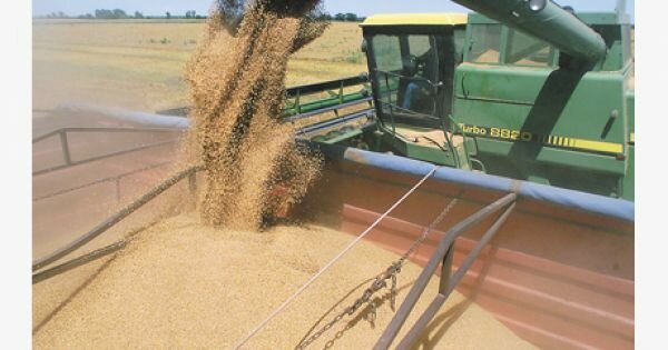 Warrant y prenda Agraria