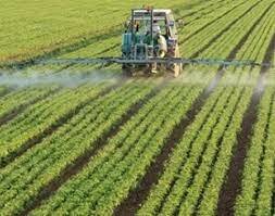 Ley de cooperativas Agricolas