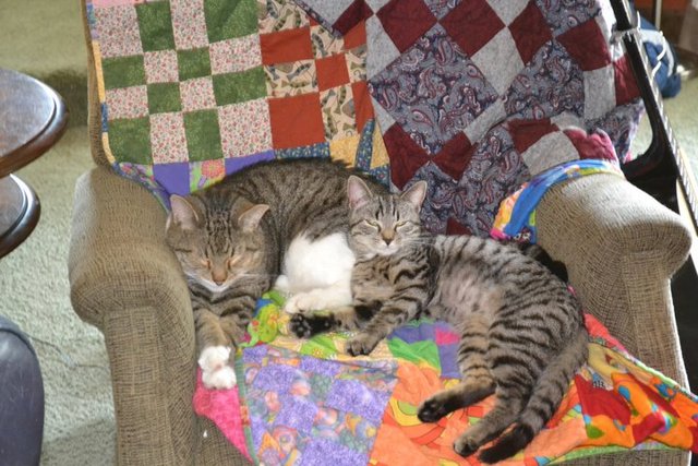 Max lets Molly cuddle