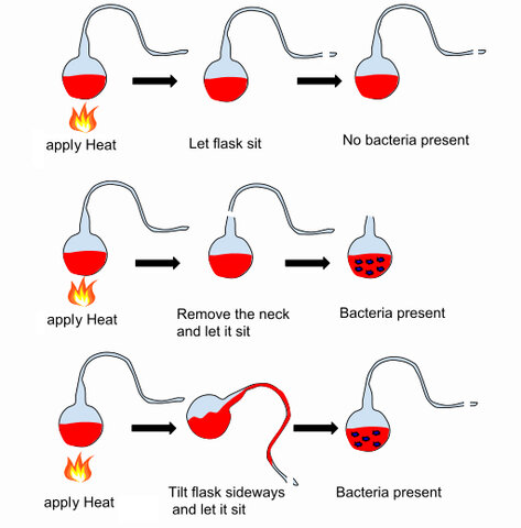 Louis Pasteur Experiments