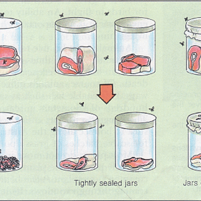 Timeline: Timeline - History of the rebuttal of this hypothesis