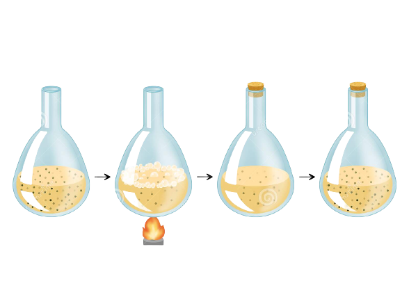 Needham's Rebuttal: Challenging Redi's Findings