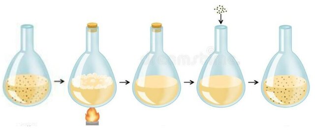 Spallanzani's Criticism: Challenging Needham's Findings