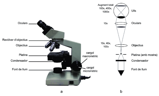 El microscopi compost