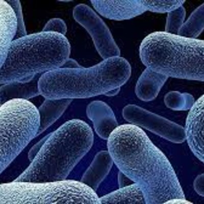 Timeline: La Vida En La Tierra