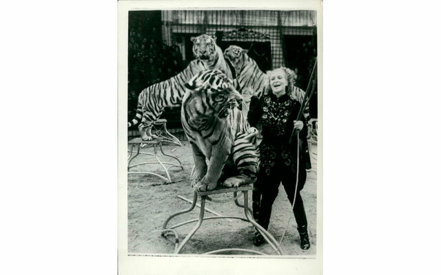 Los animales en los circos