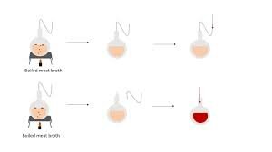 Criticism from Spallanzani