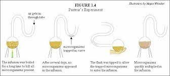 Louis Pasteur (Experiment)