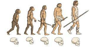 Earliest Humans Evolve
