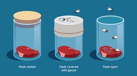 Timeline: History of scientific career of origin of life