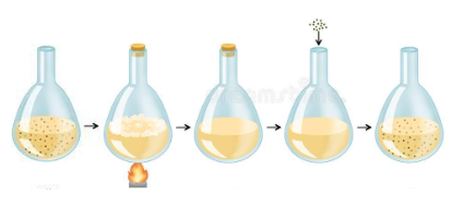 Criticism from Spallanzani