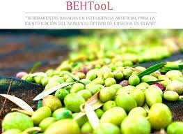 La Comundad Europea aprueba recortes sobre el olivar, frutas y verduras que afectan a España