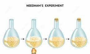 Needham’s rebuttal