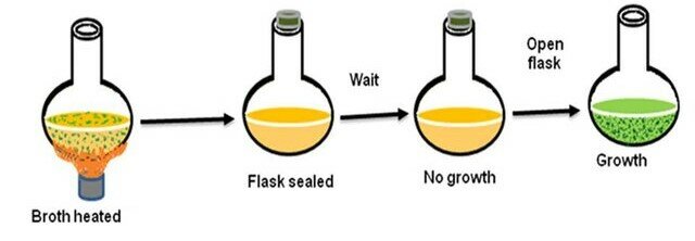 Criticism from Spallanzani