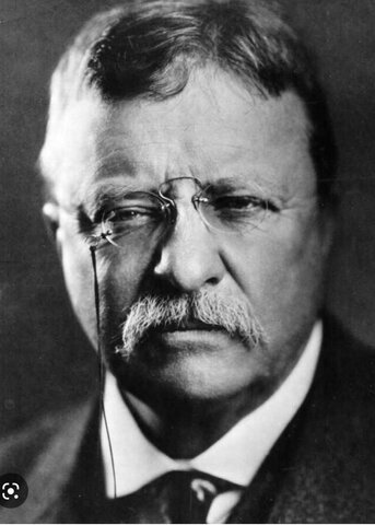 Roosevelt Becomes President