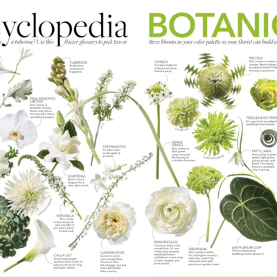 Timeline: Развитие ботаники как науки