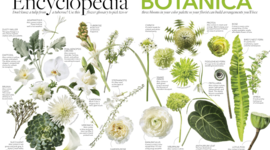 Timeline: Развитие ботаники как науки