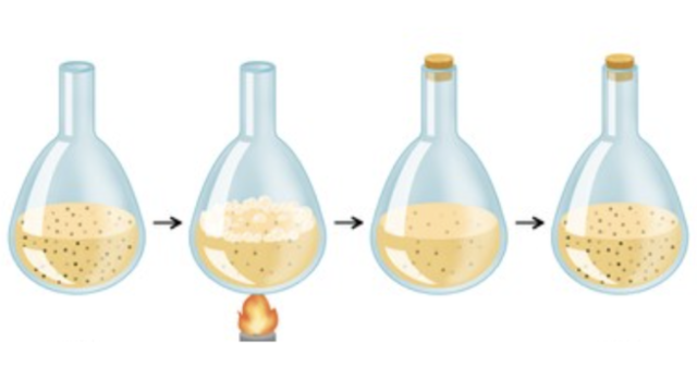 Needham's Experiment