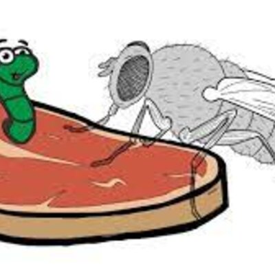 Timeline: THE SLOW DEATH OF SPONTANEOUS GENERATION