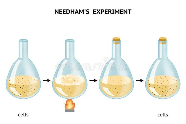 John Needham's experiment