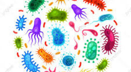 Timeline: Historia de la Epidemiologia