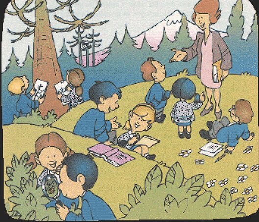 Sistematización de la educación