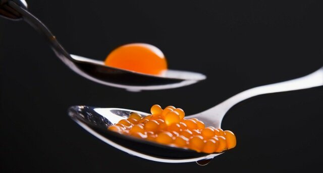 Se Considera a la Cocina Molecular como disciplina cientifica