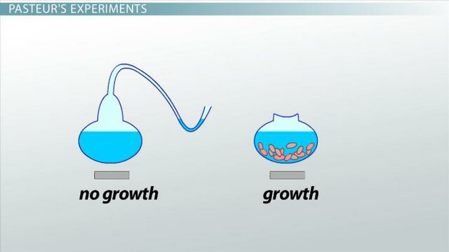 Louis Pasteur's experiment