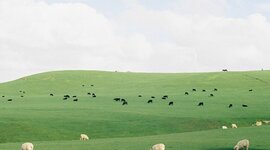 Timeline: Tech Progression