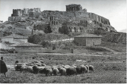 Aparición de la polis