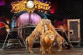 El Circo Ringling Brothers