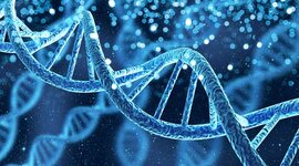 Timeline: El descobriment del DNA