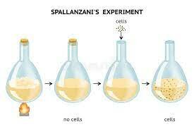 Spallanzani's experiment on microbial life.