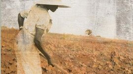 Timeline: Final Timeline Project