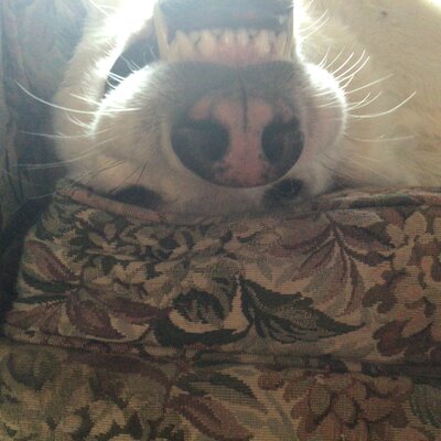 Timeline: 3 period timeline